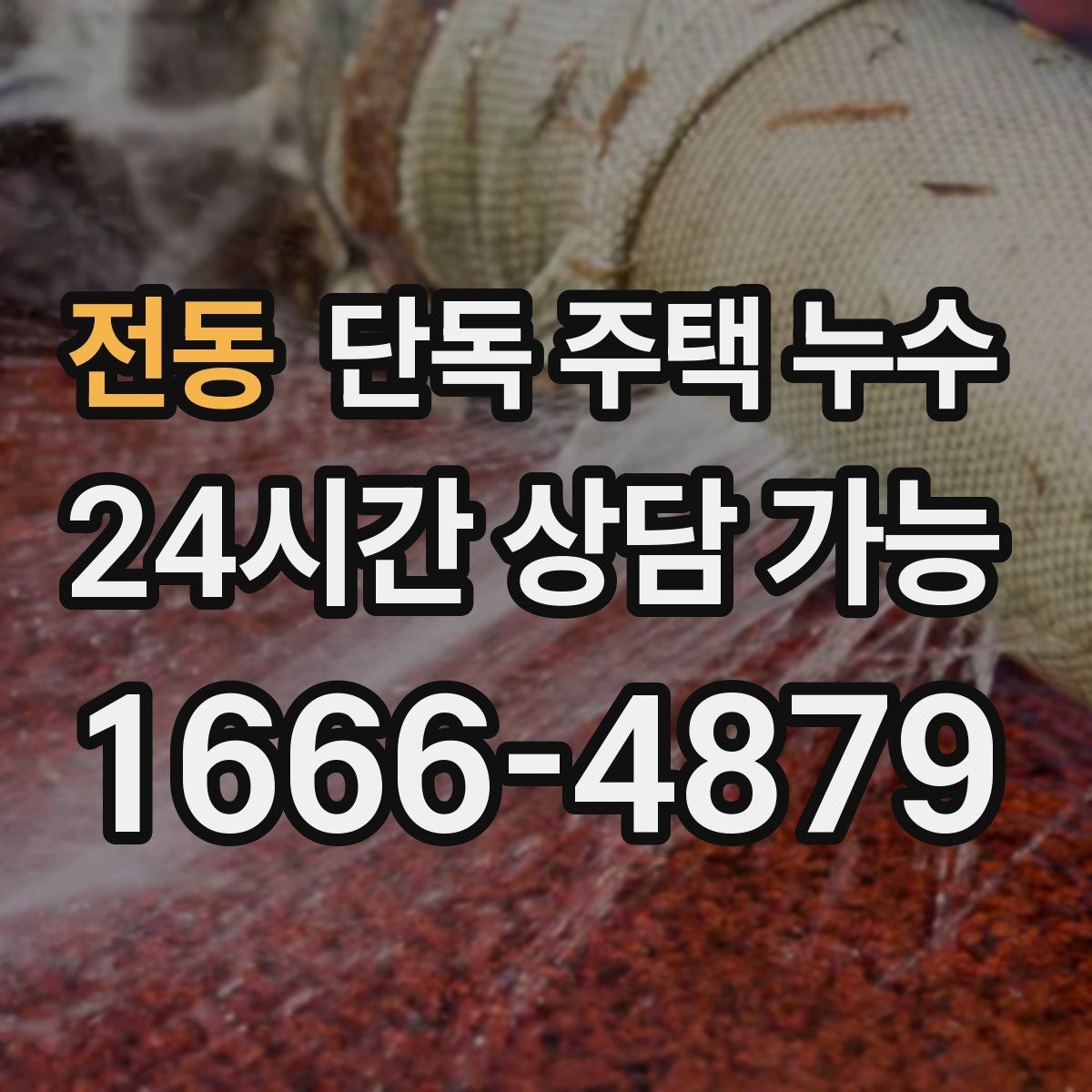 전동 단독 주택 누수 건조가 안 되는 벽은 왜 위험할까