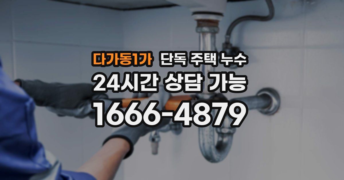 다가동1가 단독 주택 누수