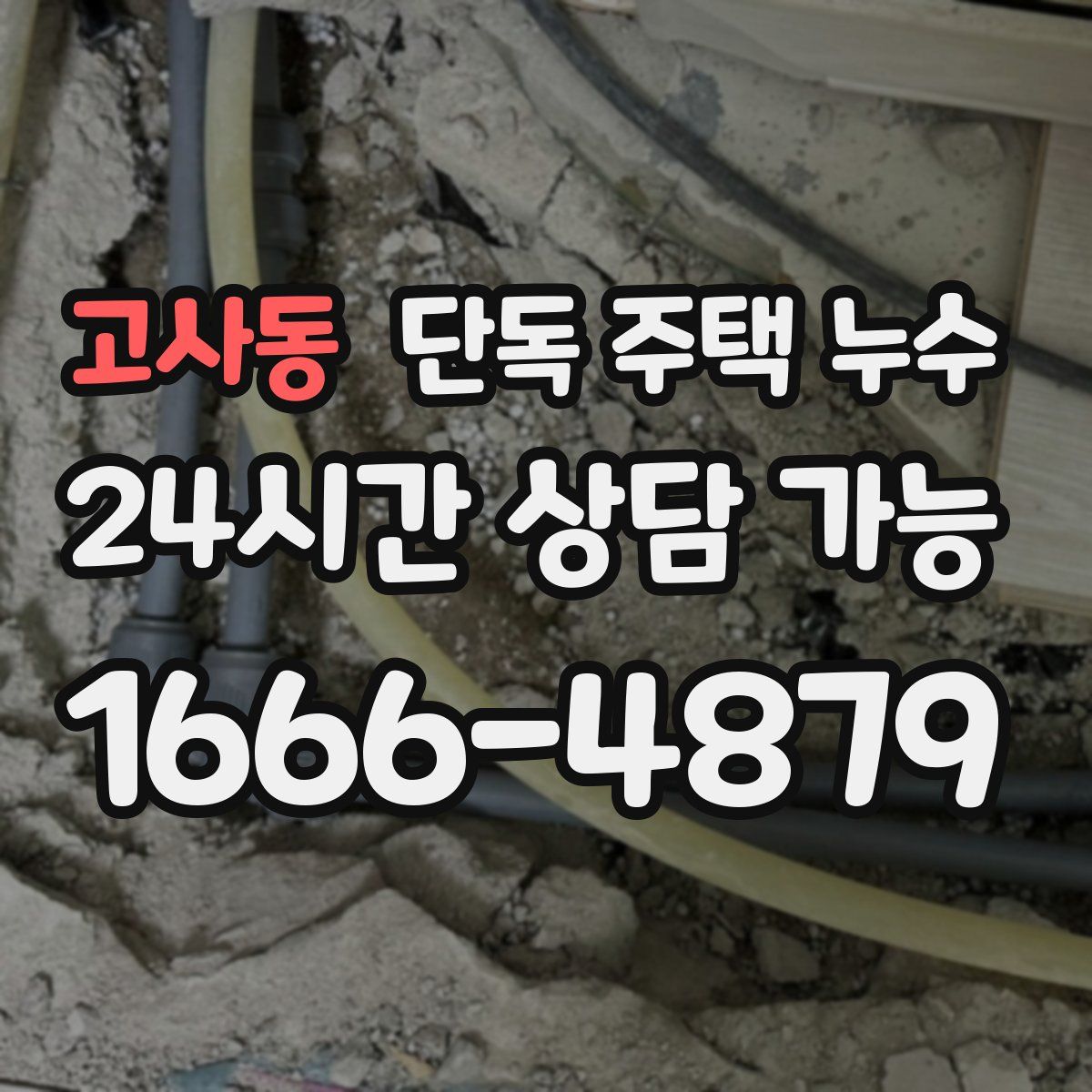 고사동 단독 주택 누수