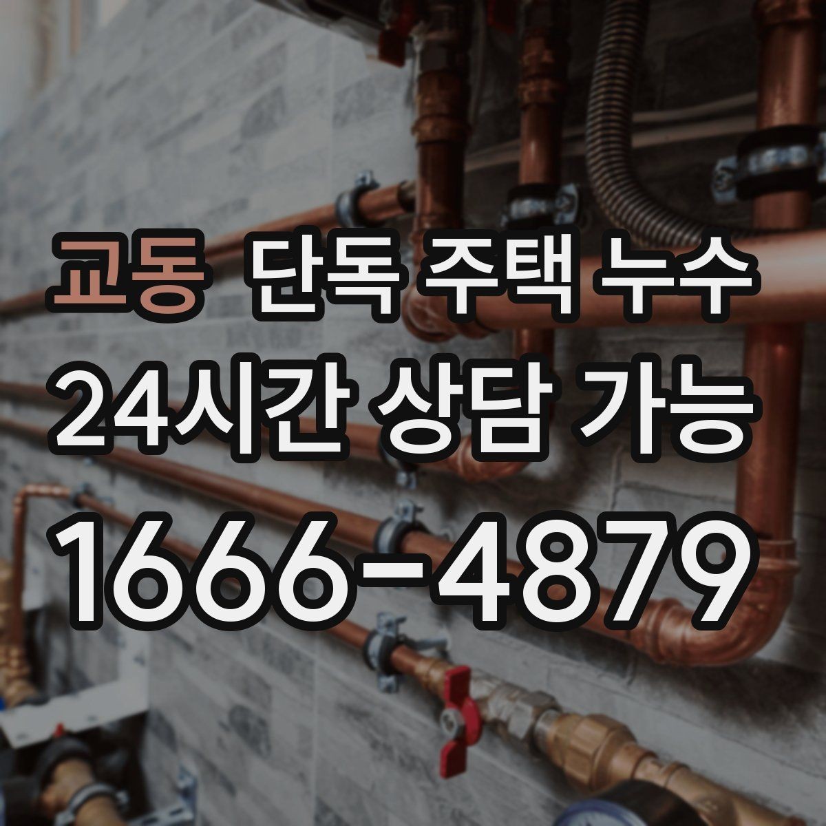 교동 단독 주택 누수 다용도실 바닥 물자국이 사라지지 않을 때