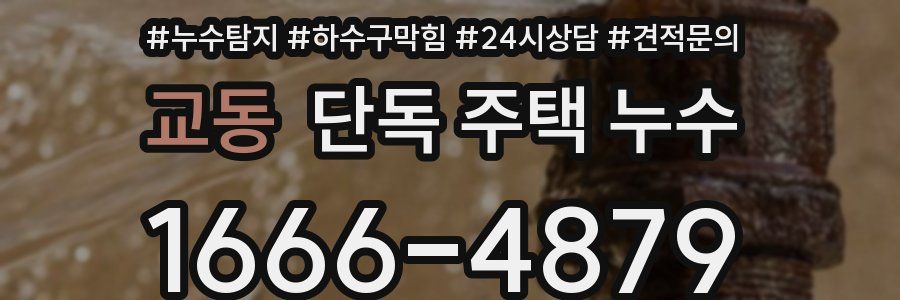 교동 단독 주택 누수