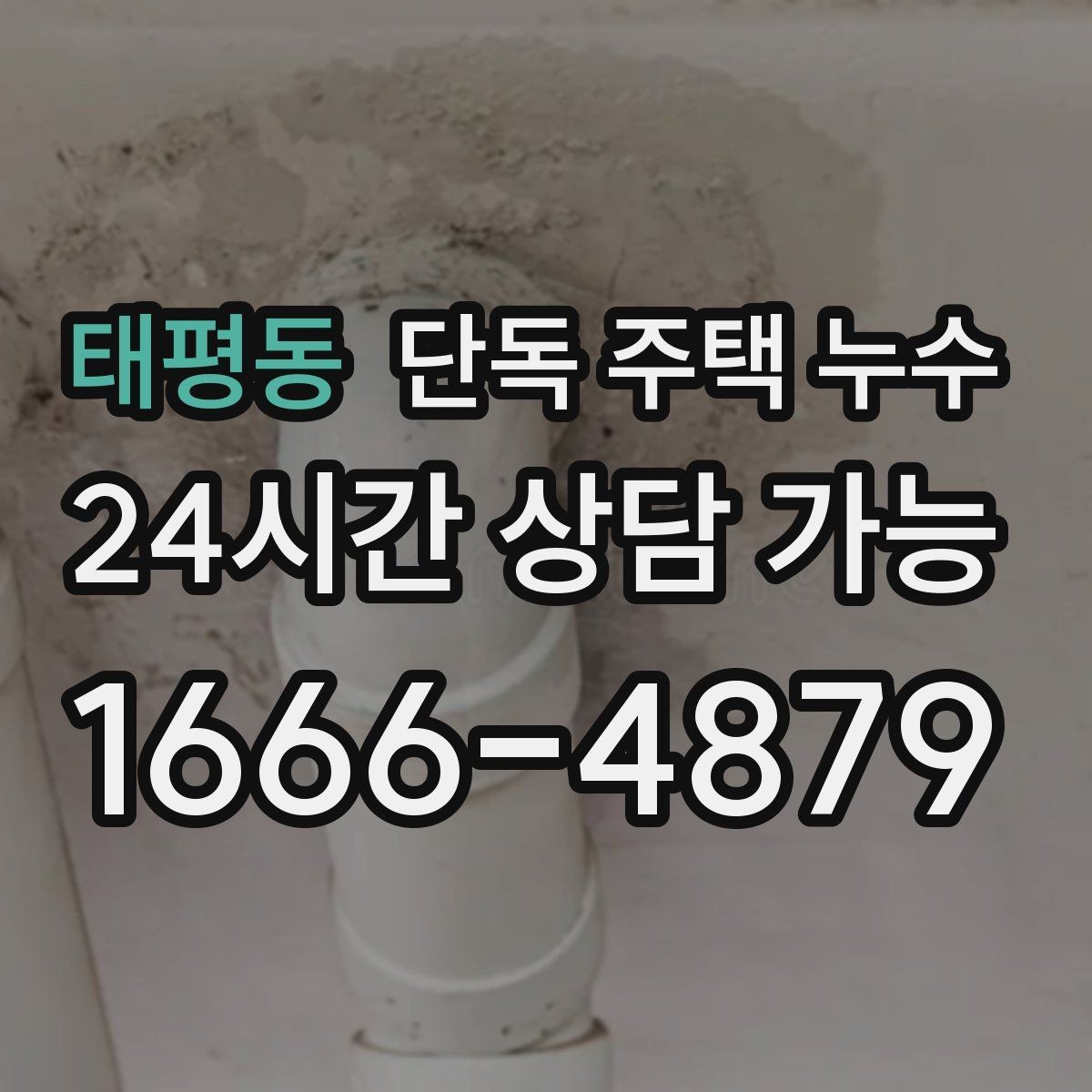 태평동 단독 주택 누수 지붕 판넬·기와 틈새 점검 포인트