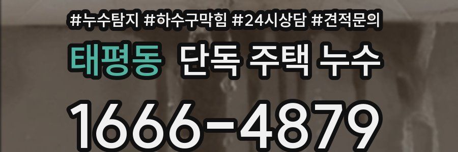 태평동 단독 주택 누수