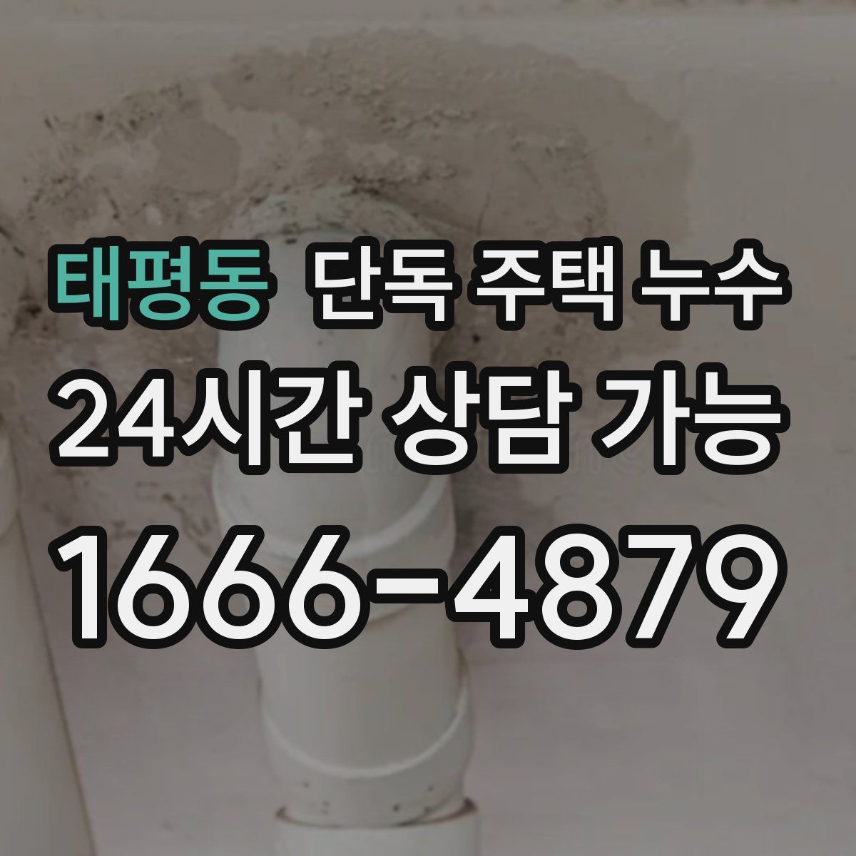 태평동 단독 주택 누수