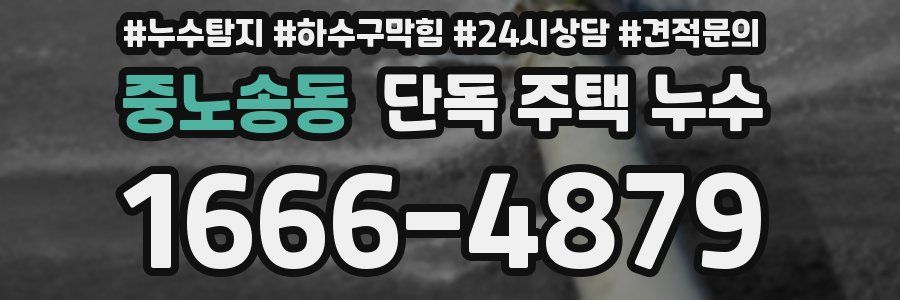 중노송동 단독 주택 누수