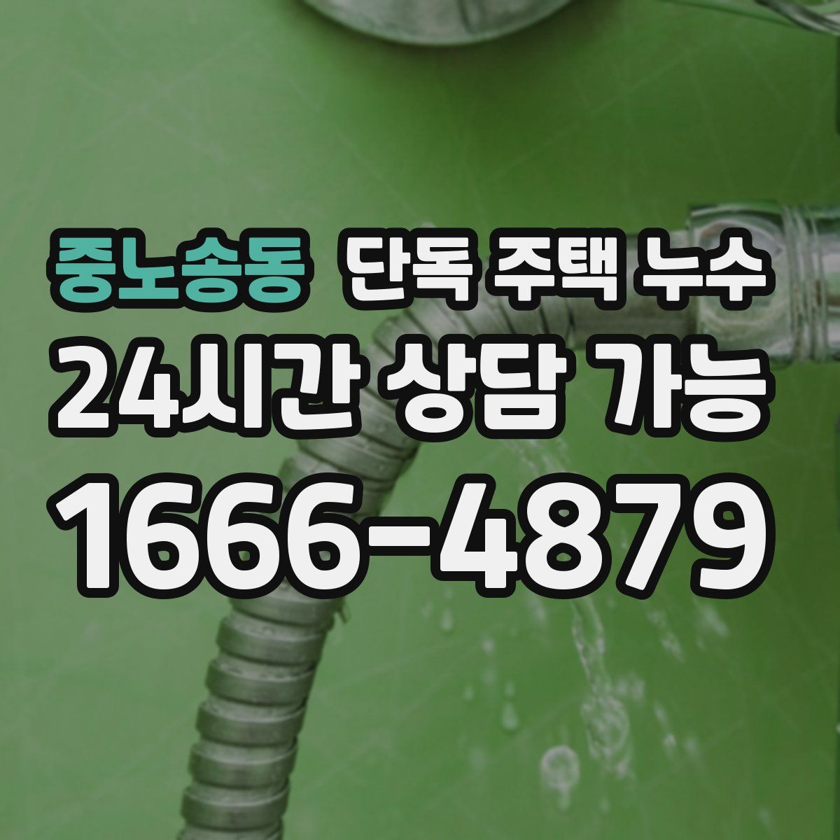 중노송동 단독 주택 누수