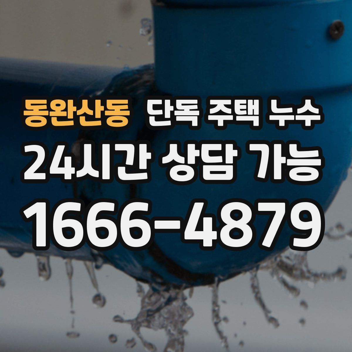 동완산동 단독 주택 누수