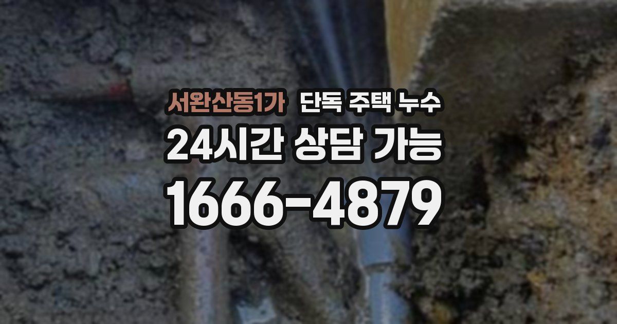 서완산동1가 단독 주택 누수