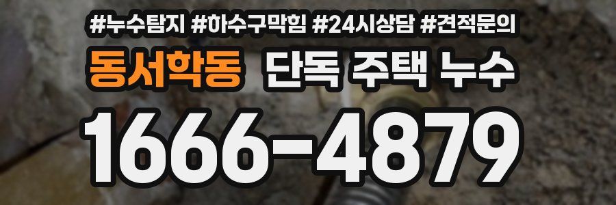 동서학동 단독 주택 누수