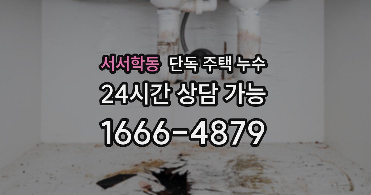 서서학동 단독 주택 누수