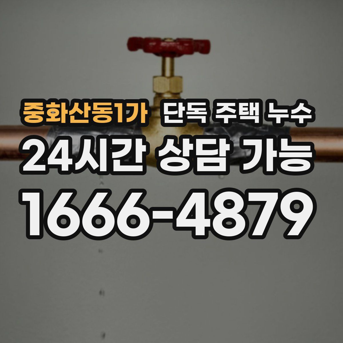 중화산동1가 단독 주택 누수