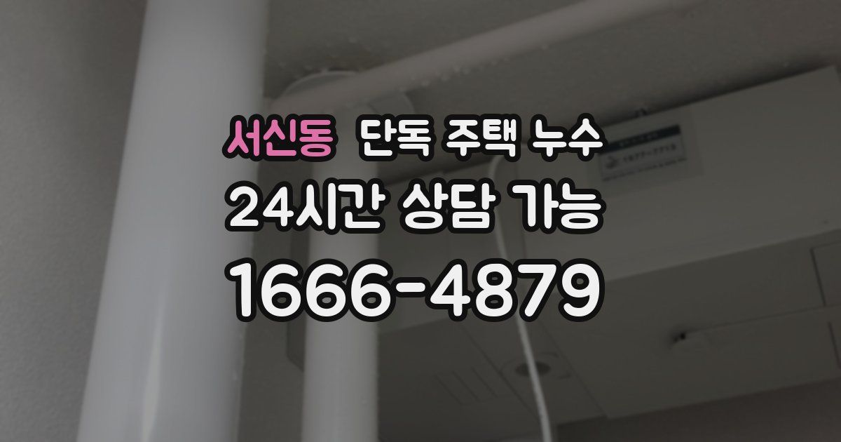 서신동 단독 주택 누수