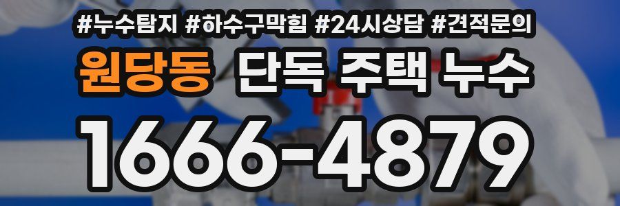 원당동 단독 주택 누수