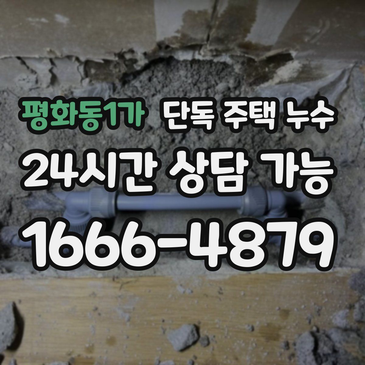 평화동1가 단독 주택 누수