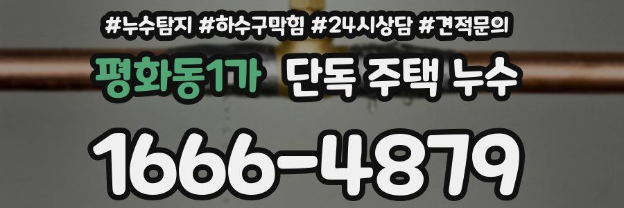 평화동1가 단독 주택 누수