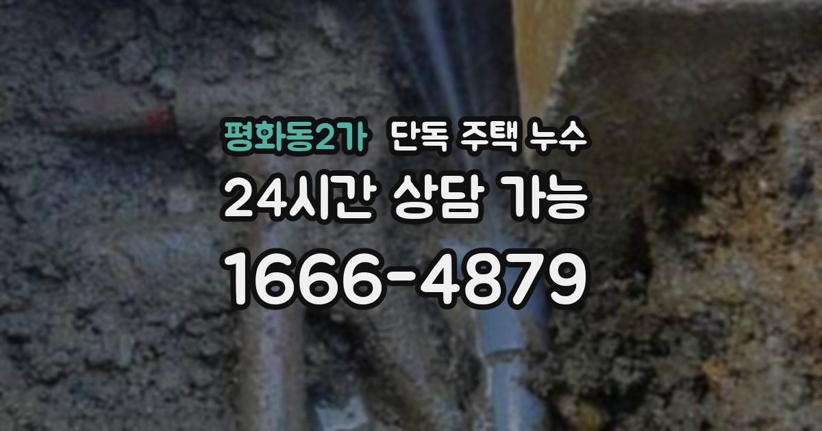 평화동2가 단독 주택 누수