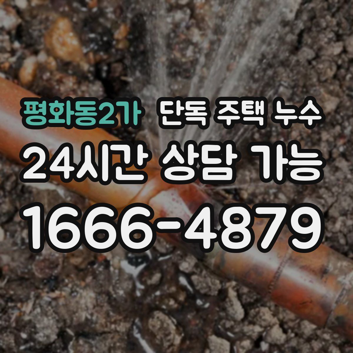 평화동2가 단독 주택 누수