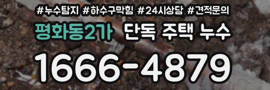 평화동2가 단독 주택 누수