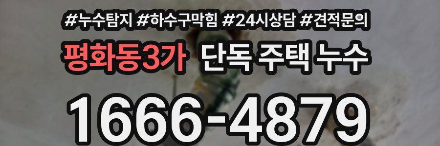 평화동3가 단독 주택 누수