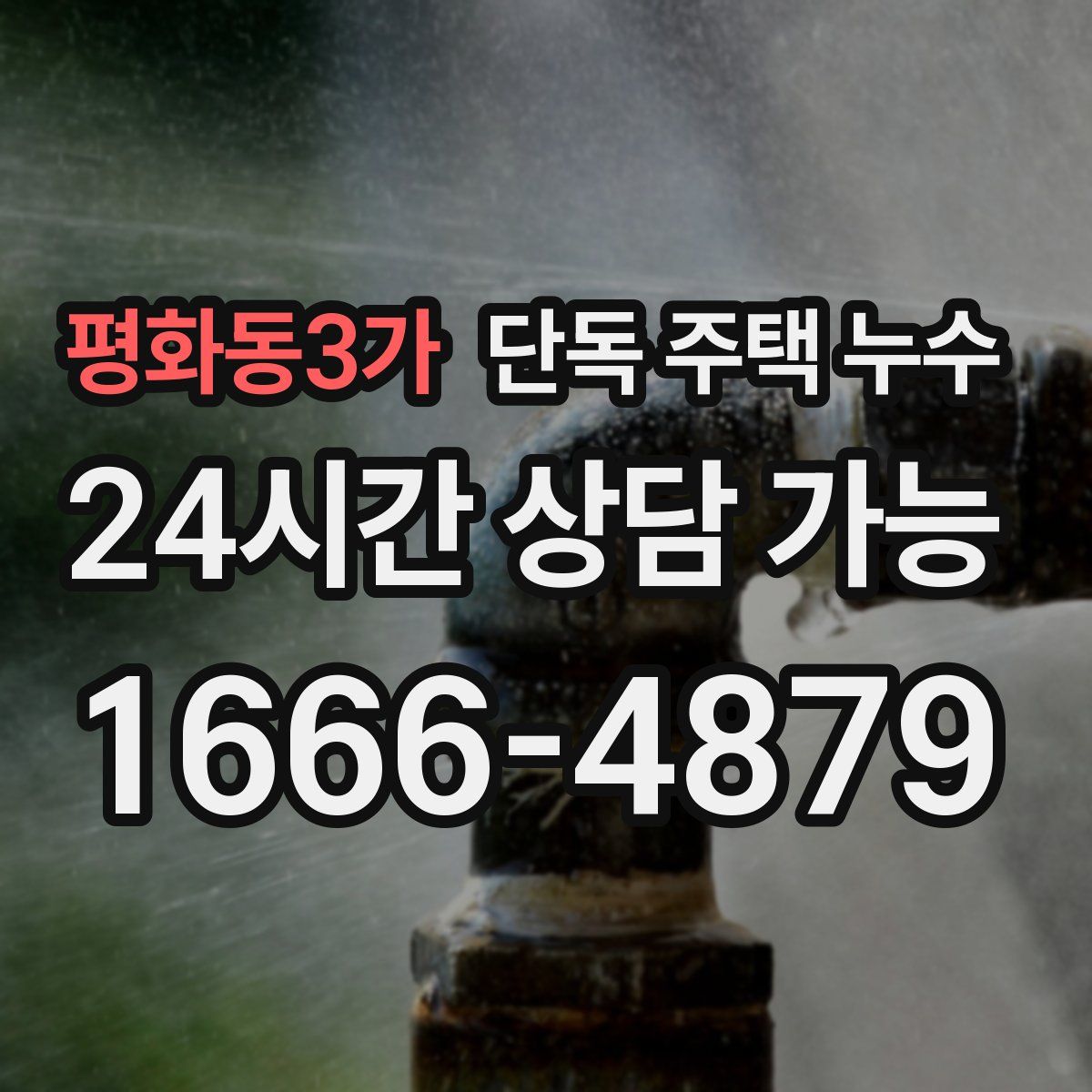 평화동3가 단독 주택 누수