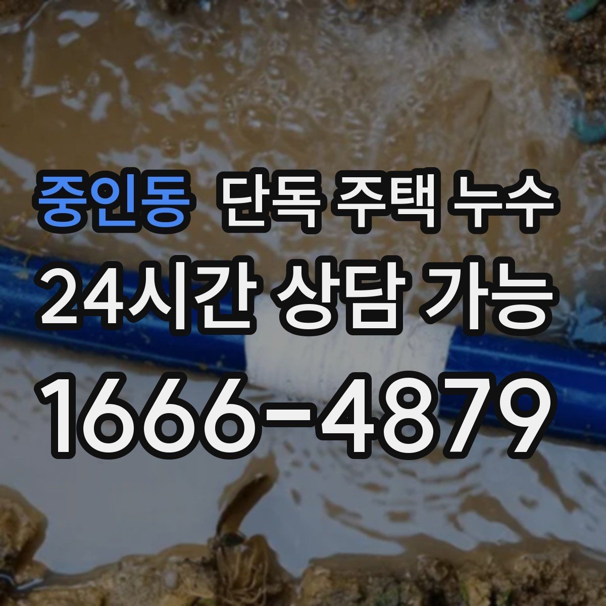 중인동 단독 주택 누수 외벽면 방에서 더 심한 이유