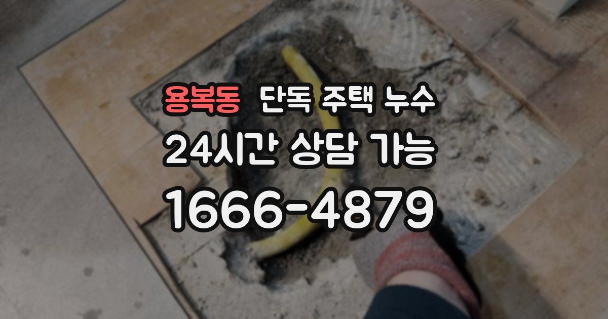 용복동 단독 주택 누수