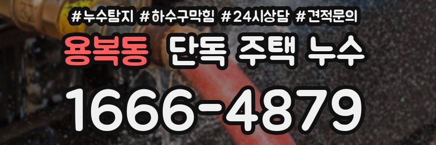 용복동 단독 주택 누수