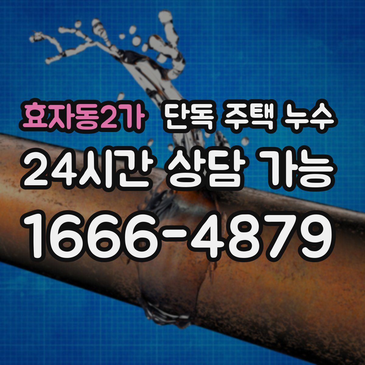 효자동2가 단독 주택 누수