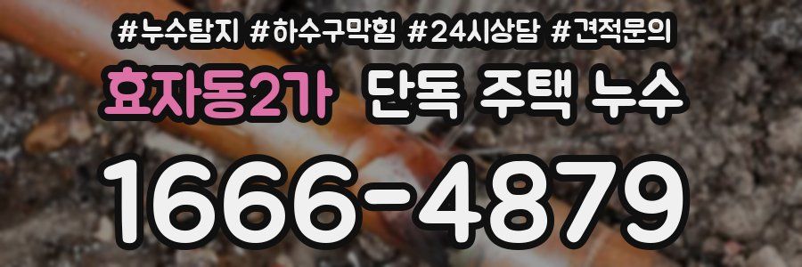 효자동2가 단독 주택 누수