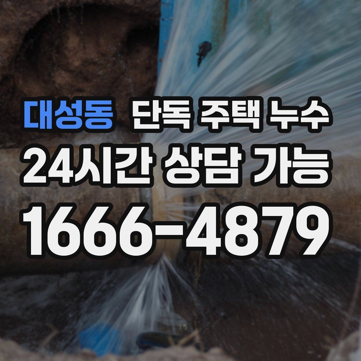 대성동 단독 주택 누수 곰팡이가 계속 생기면 원인이 남아있다는 신호