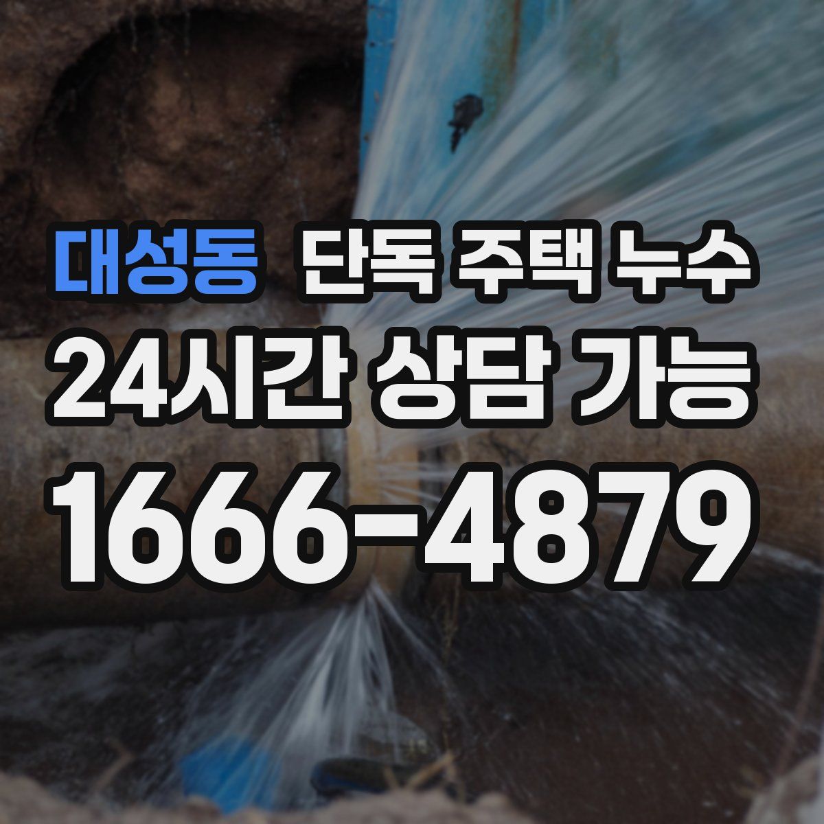 대성동 단독 주택 누수