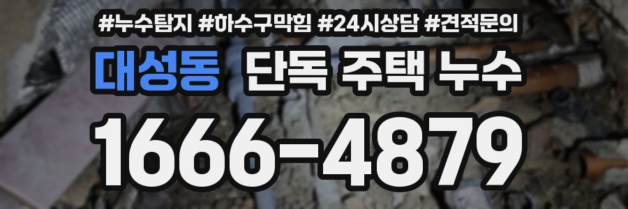 대성동 단독 주택 누수