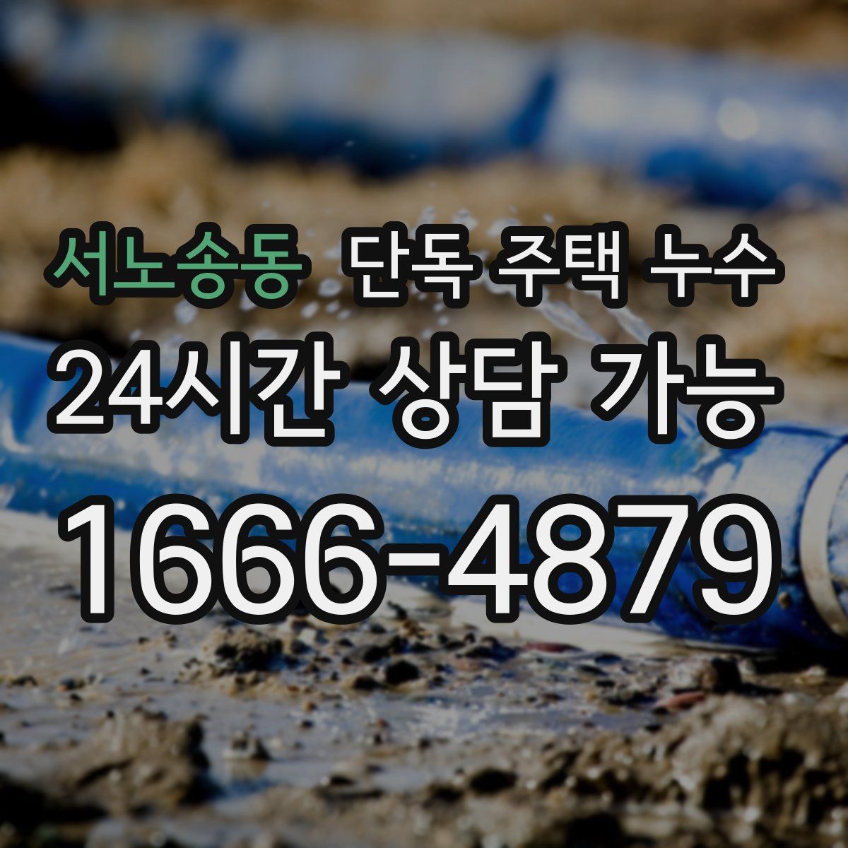 서노송동 단독 주택 누수