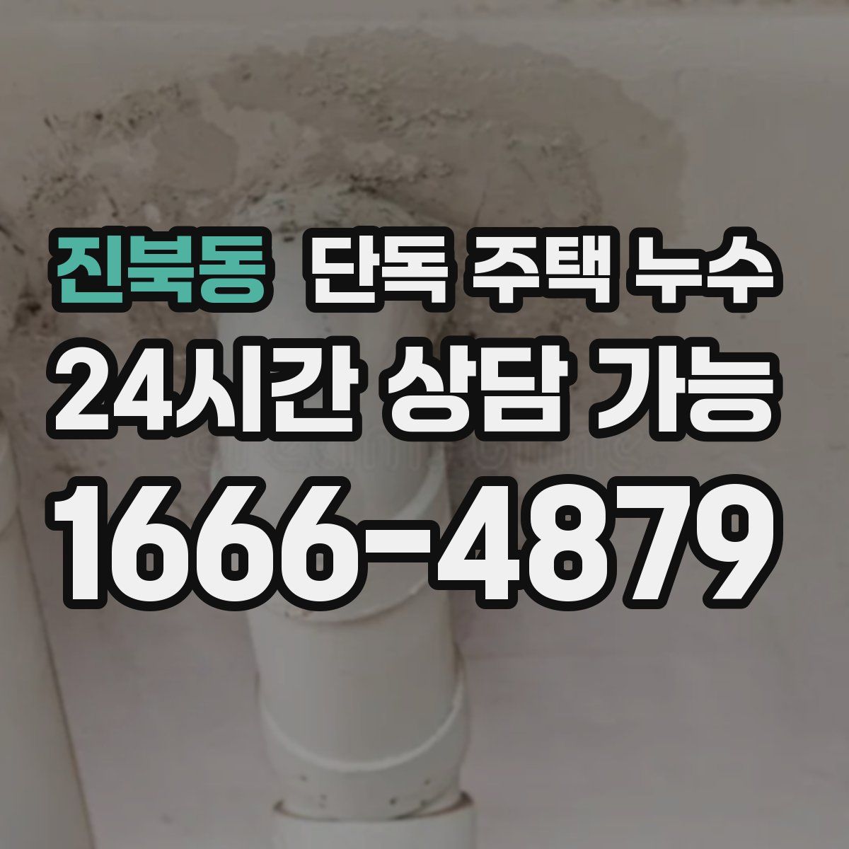 진북동 단독 주택 누수