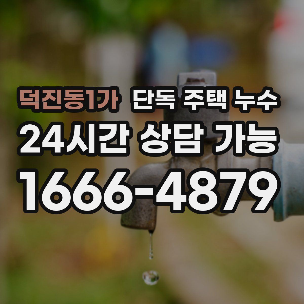 덕진동1가 단독 주택 누수