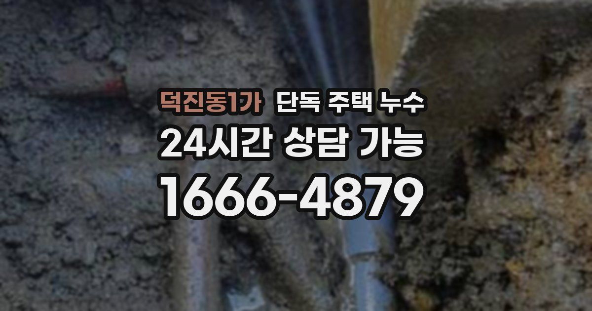 덕진동1가 단독 주택 누수