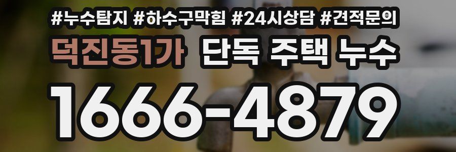 덕진동1가 단독 주택 누수