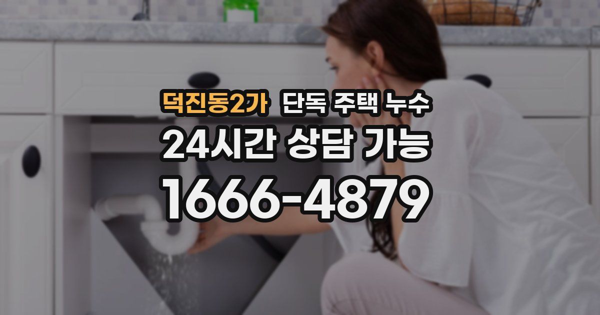 덕진동2가 단독 주택 누수