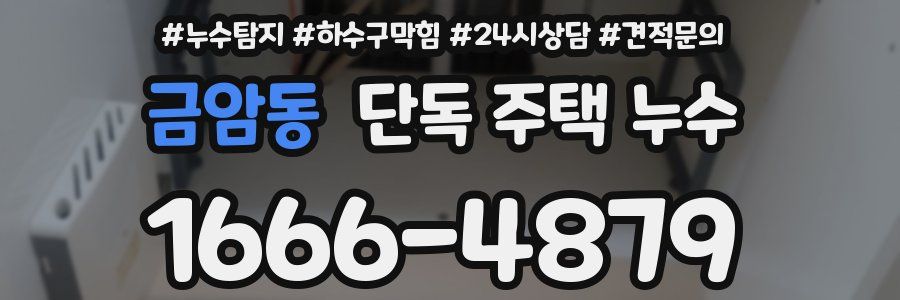 금암동 단독 주택 누수