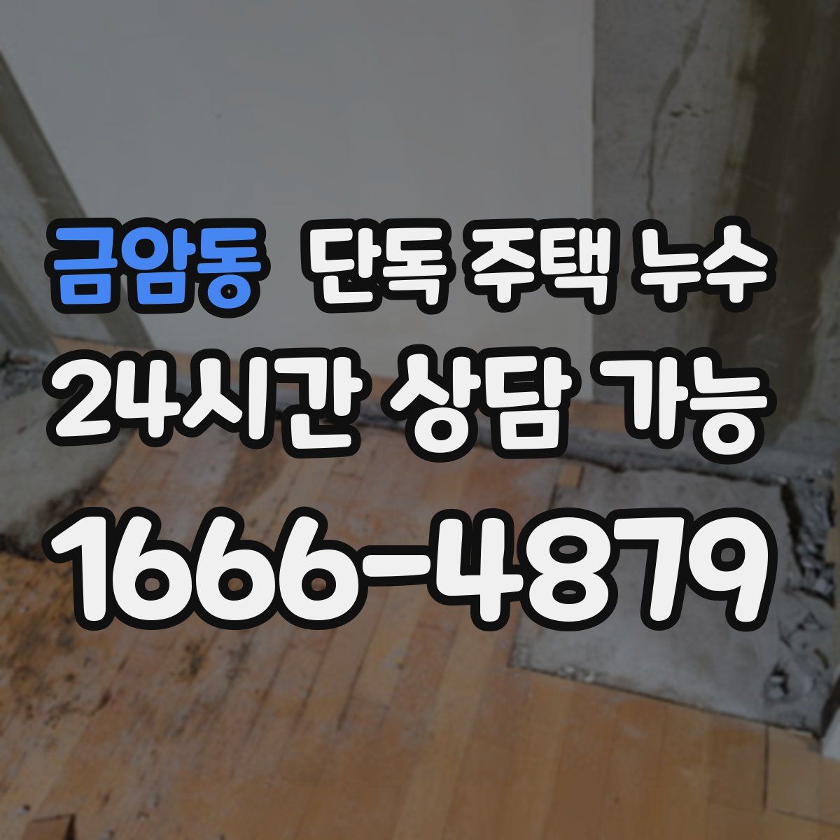 금암동 단독 주택 누수