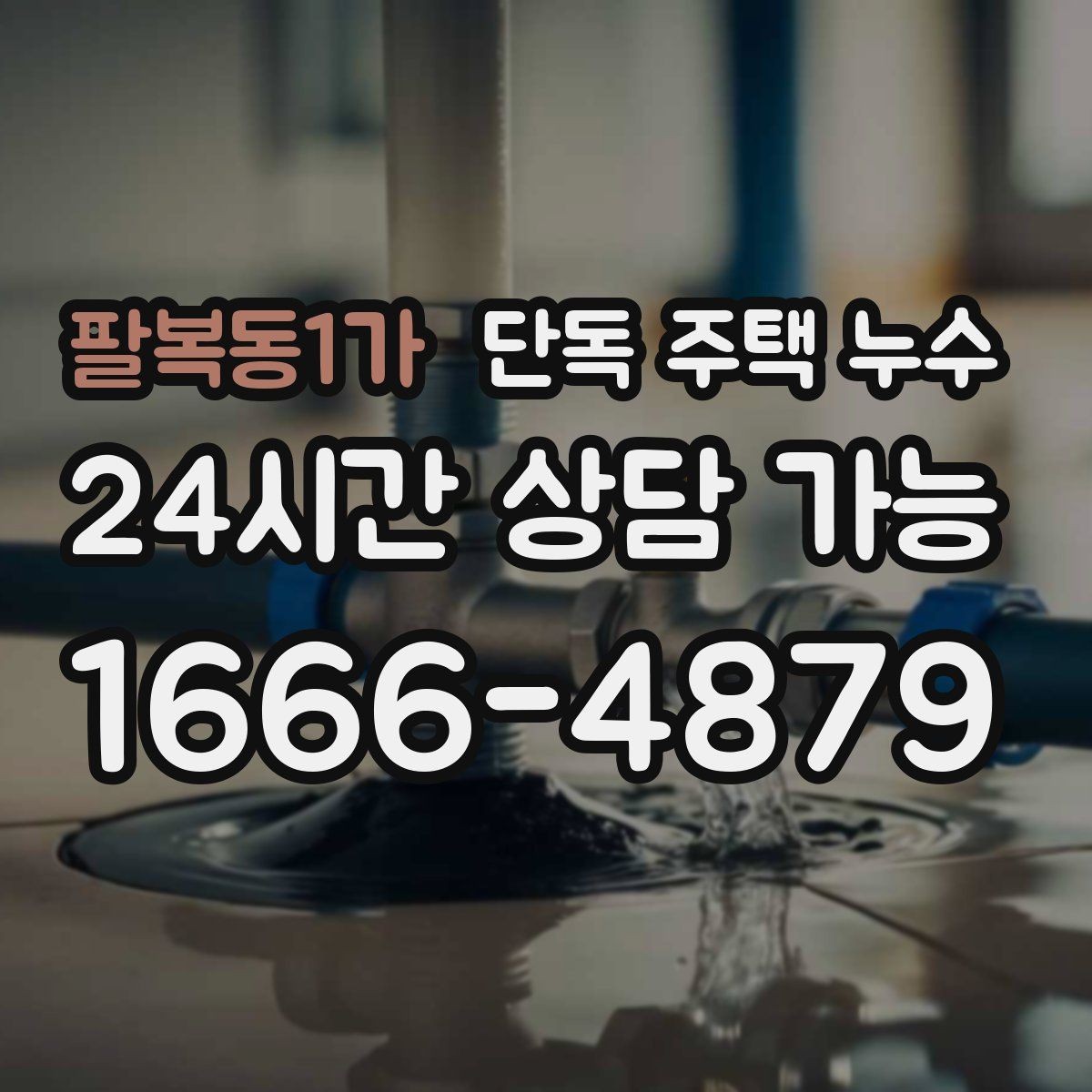 팔복동1가 단독 주택 누수 배수관 누수로 바닥이 젖는 경우