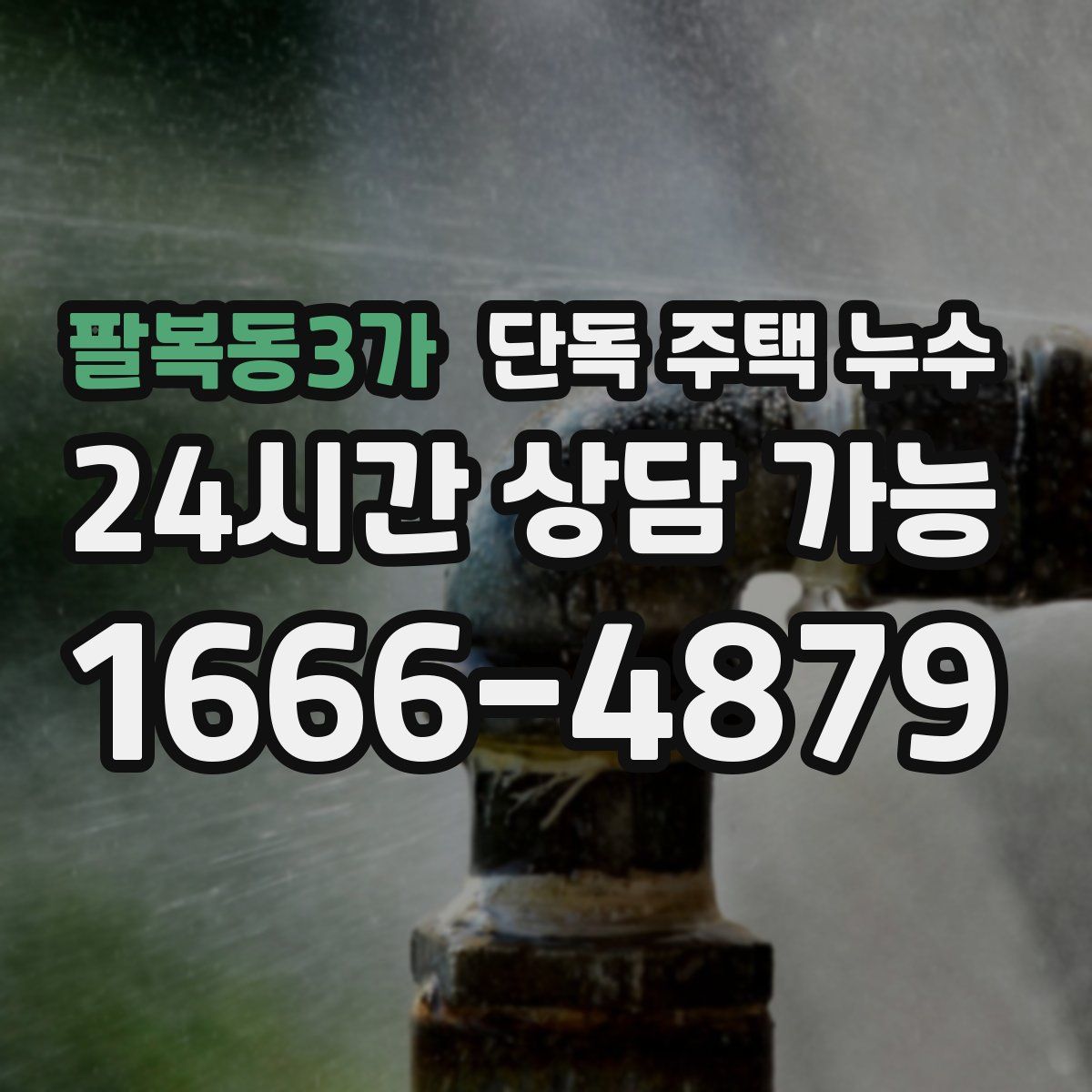 팔복동3가 단독 주택 누수