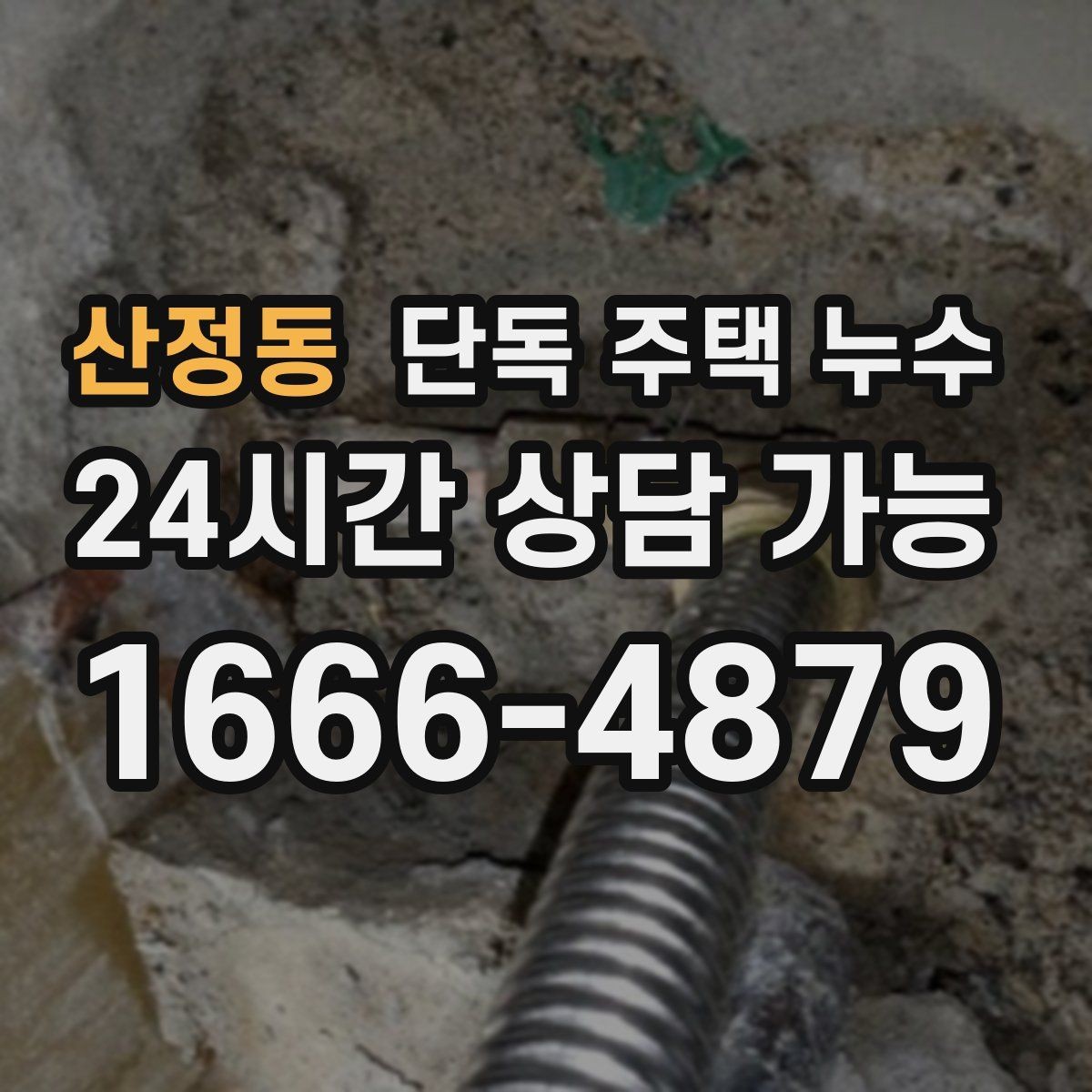 산정동 단독 주택 누수 욕실 배수구 주변이 계속 젖을 때