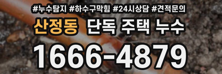 산정동 단독 주택 누수