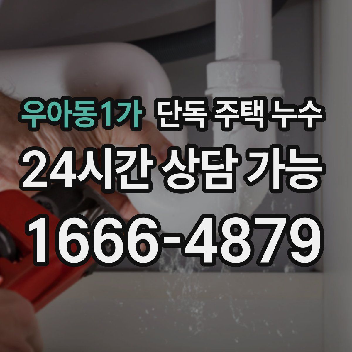 우아동1가 단독 주택 누수