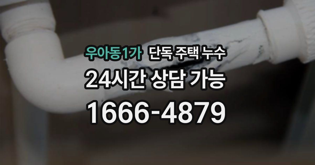 우아동1가 단독 주택 누수