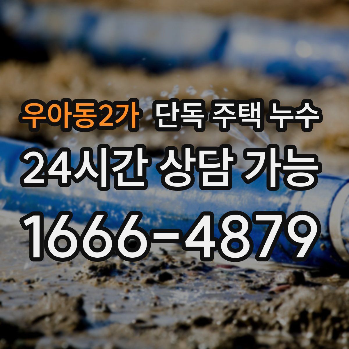 우아동2가 단독 주택 누수