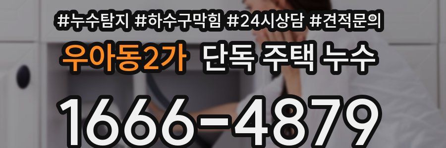 우아동2가 단독 주택 누수