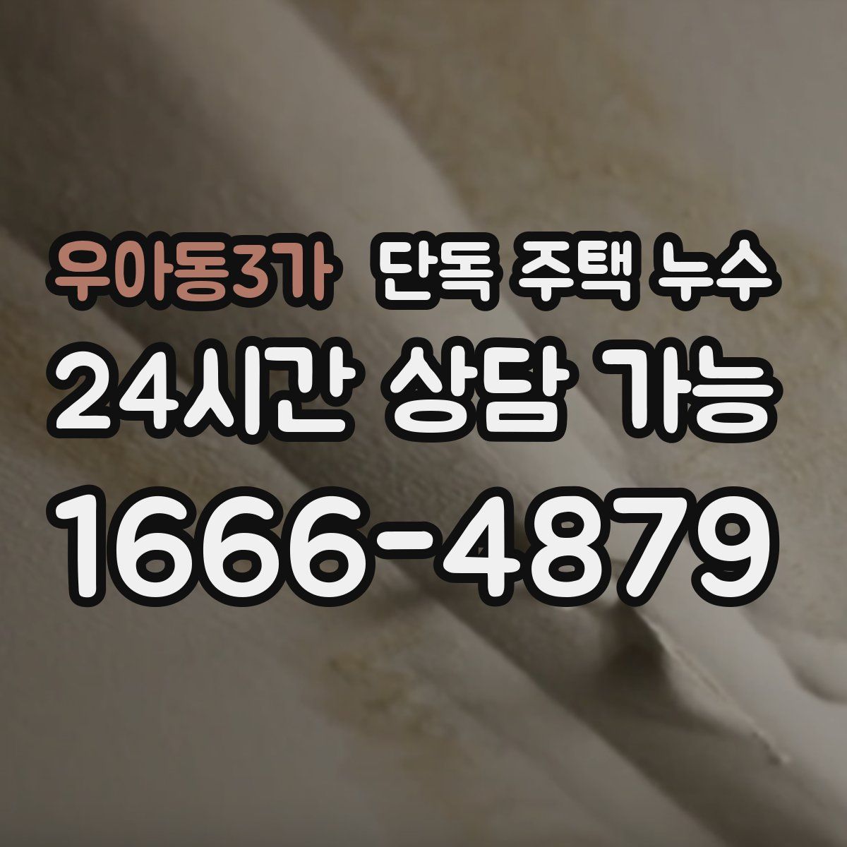 우아동3가 단독 주택 누수