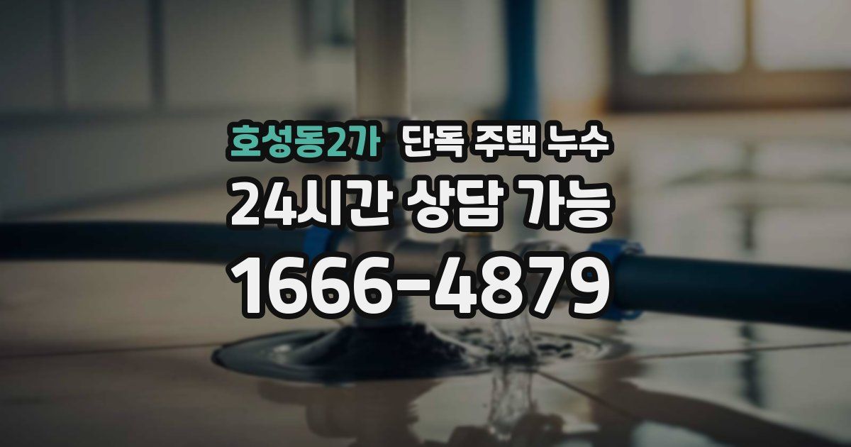 호성동2가 단독 주택 누수